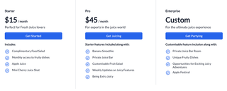 Pricing Page composed of title and three pricing options