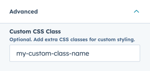 sidebar Custom CSS Class input