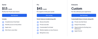Pricing Page composed of title and three pricing options