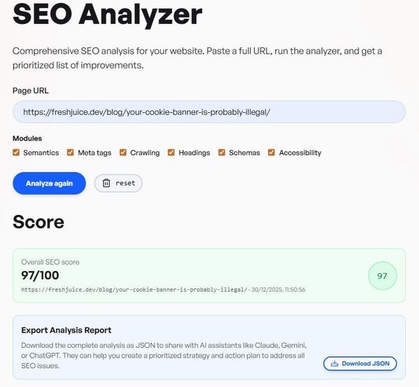 SEO Analyzer tool interface