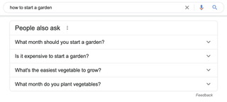 Google People Also Ask section