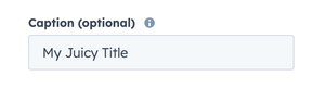 sidebar Caption input